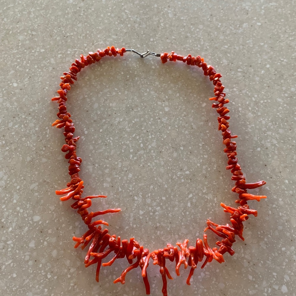 Funky orange Coral Necklace